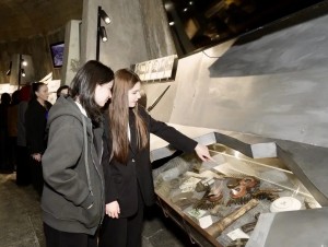 IMG_20260506_214735_576