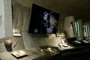 IMG_20260506_214742_069